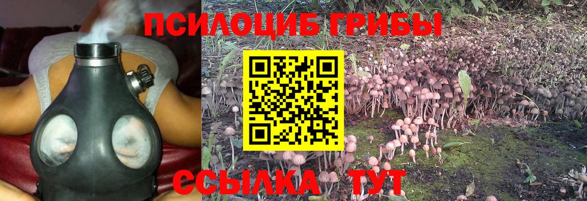 Галлюциногенные грибы мицелий  Вход с VPN  Углич  Галлюциногенные грибы мухоморы 